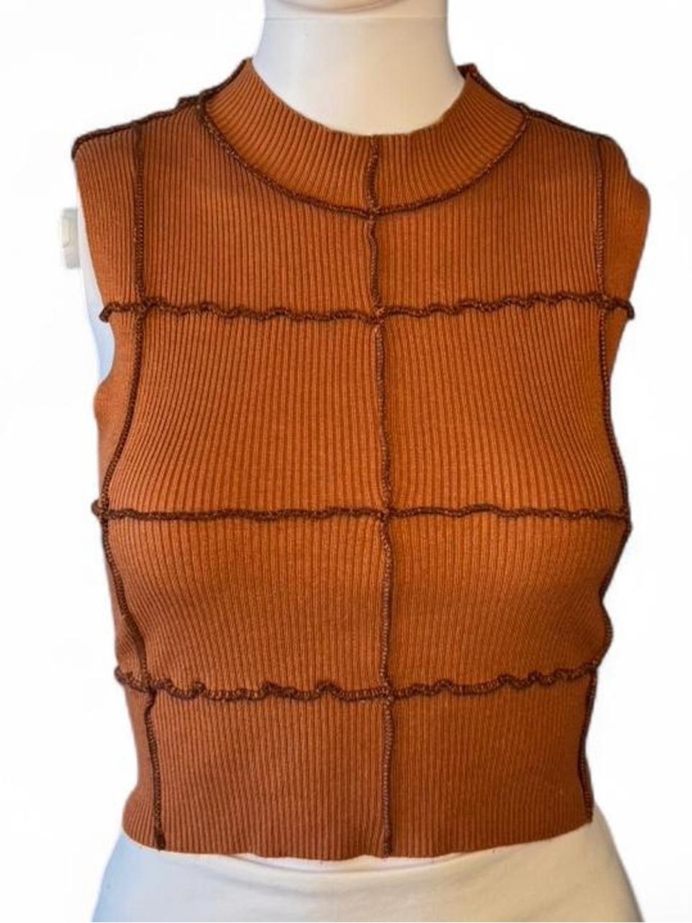 Garage Rust Orange Ribbed Sleeveless Crop Top (Size M)